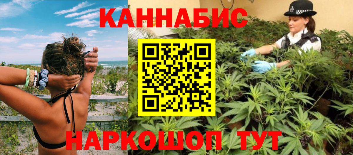 Конопля семена  Канабис LSD WEED  Вход с VPN  Бошки Шишки White Widow  Бошки марихуана SATIVA & INDICA  Полевской 